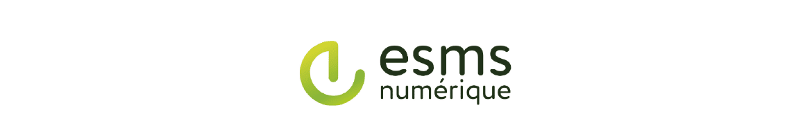 Logo ESMS Numérique